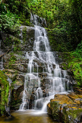 small waterfall with blurred water on the rocks in the brazilian rainforest with tropical trees around - 280279138