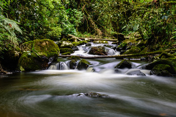 small waterfall with blurred water on the rocks in the brazilian rainforest with tropical trees around - 280279349