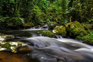 small waterfall with blurred water on the rocks in the brazilian rainforest with tropical trees around - 280279732