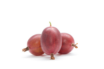 Gooseberries. Fresh gooseberries isolated with clipping path