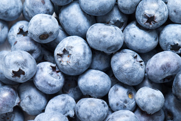 Fresh blueberry background. Texture blueberry berries close up
