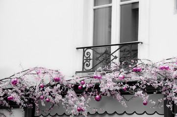 Window with christmas decoration