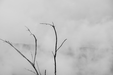 Very cloudy environment landscape in black and white