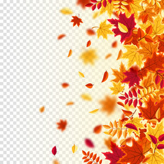 Autumn falling leaves. Nature background with red, orange, yellow foliage. Flying leaf. Season sale. Vector illustration.