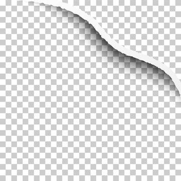 Paper Edge Corner Border with Shadows Isolated on Transparent Background. Realistic Paper Edge