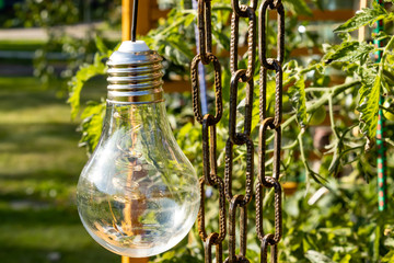 light bulb next to a chain with vegetation in background