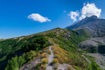 Hiking Trail At Mount Saint Helens National Monument