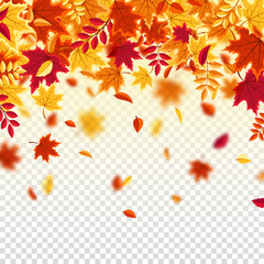 Fototapeta na wymiar Autumn falling leaves. Nature background with red, orange, yellow foliage. Flying leaf. Season sale. Vector illustration.