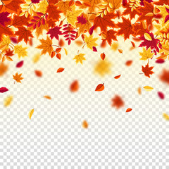 Fototapeta na wymiar Autumn falling leaves. Nature background with red, orange, yellow foliage. Flying leaf. Season sale. Vector illustration.