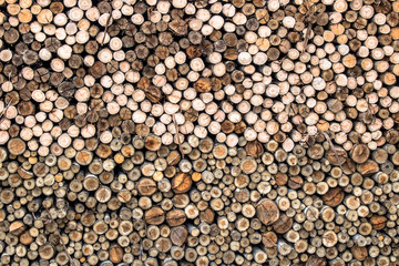 Preparation of firewood for the industry. firewood background. Pile of firewood.