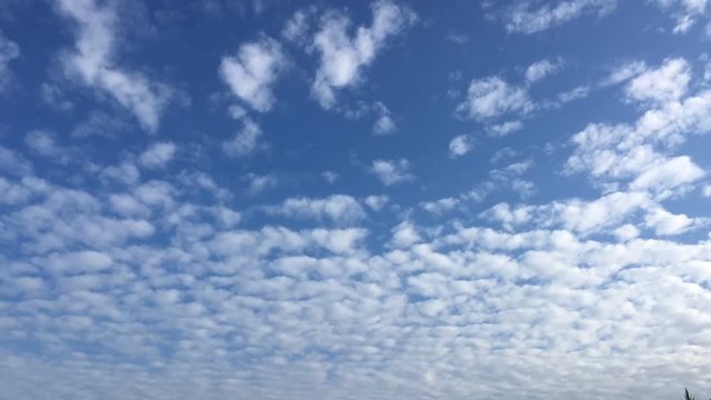 Time lapse clouds, rolling puffy clouds are moving, white lightness clouds time lapse. Ultra HD sunny clouds, Clouds running across the blue sky. Time lapse of white clouds with blue sky in background