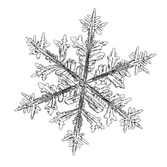 Snowflake isolated on white background. Illustration based on macro photo of real snow crystal: complex stellar dendrite with fine hexagonal symmetry, ornate shape and six thin, elegant arms.