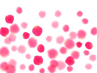 Rose gold petals flying cosmetics vector background.