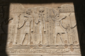 Scene from Kom Ombo Temple in Aswan, Egypt