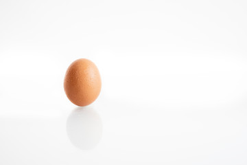 One hen or chicken egg isolated on white background with reflex on glass