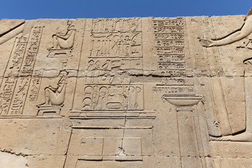 Scene from Kom Ombo Temple in Aswan, Egypt