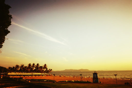 Evening View Of Ambassador Jomtien Beach With Palm Trees, Garden, And Beautiful Skyline