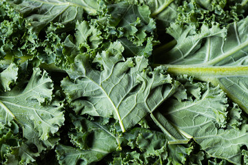 kale salad leaves close up with water drops background