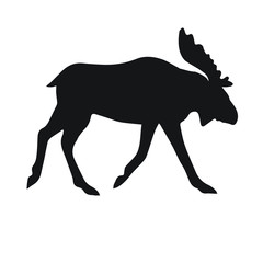 Vector black silhouette of moose isolated on white background