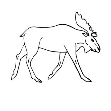 Vector hand drawn doodle sketch moose isolated on white background