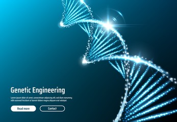 DNA structure, genetic engineering web app, vector