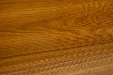 Textura de Madeira