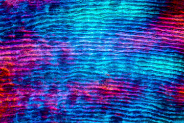 Abstract micrograph of a scale from a red snapper fish.