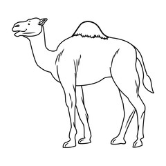 Camel desert animal cartoon sideview in black and white