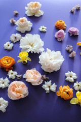 flowers on blue background