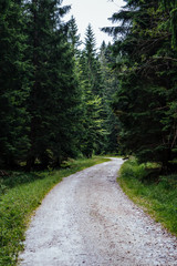Fototapeta na wymiar On the trail in Giant Mountains (Karkonosze), Polish - Czech Republic border. European Union. 