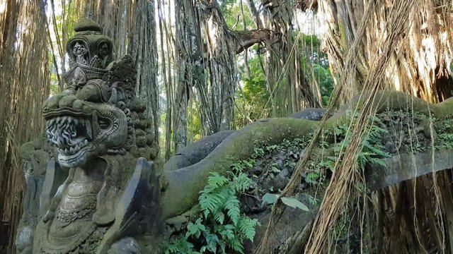 Landscape in the Monkey Forest in Bali, Indonesia