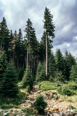 On the trail in Giant Mountains (Karkonosze), Polish - Czech Republic border. European Union. 