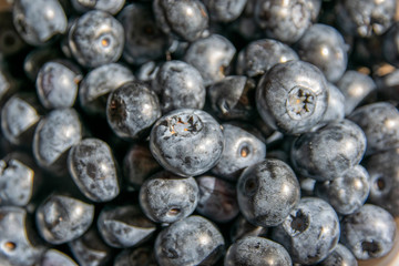 Huckleberry close-up. Blueberry in a bowl in the kitchen