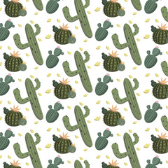 Pattern with different green cacti on a white background. Vector ornament