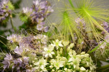 A large beautiful bouquet of flowers of phacelia, allium and barley on a light background