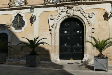 Baroque wrought iron windows and doors