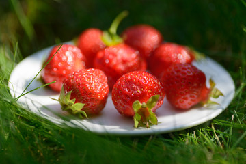 Closeup photo of red strawberry on the white plate on the green grass. Photo taken on 45 degrees 