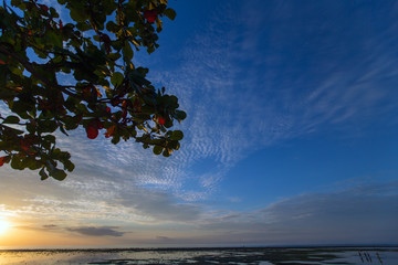 Blue sky with tree