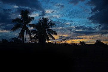 Obraz premium sunset on the beach