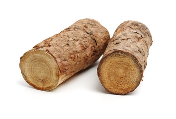 Pine logs on white background