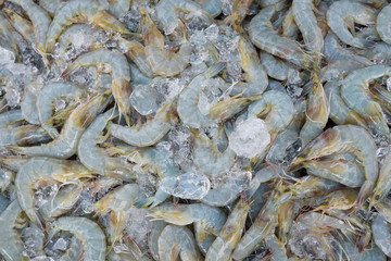 Shrimp fresh at street food market in thailand