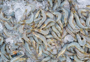 Fototapeta premium Shrimp fresh at street food market in thailand