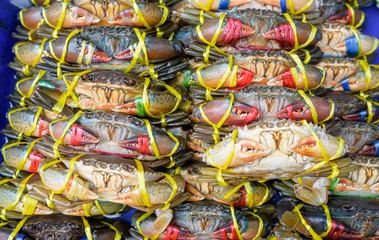 Crab fresh at street food market in thailand
