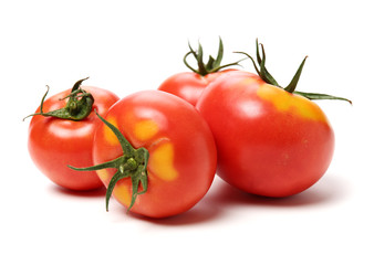 fresh tomato isolated on white background