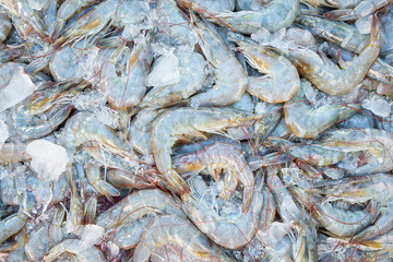 Shrimp fresh at street food market in thailand