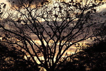 por do sol