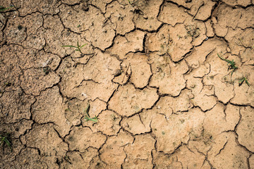 Cracked ground texture background