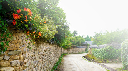 창평 슬로시티 골목길의 능소화