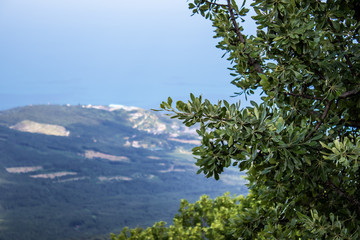 Fototapeta na wymiar Black Sea view from Ai-Petri mountain. Light sunny summer day, Crimea, Russia.