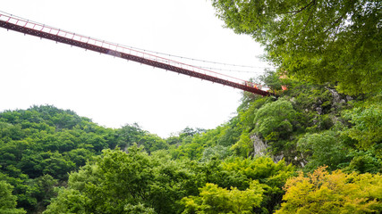 강천산 군립공원 가는 길